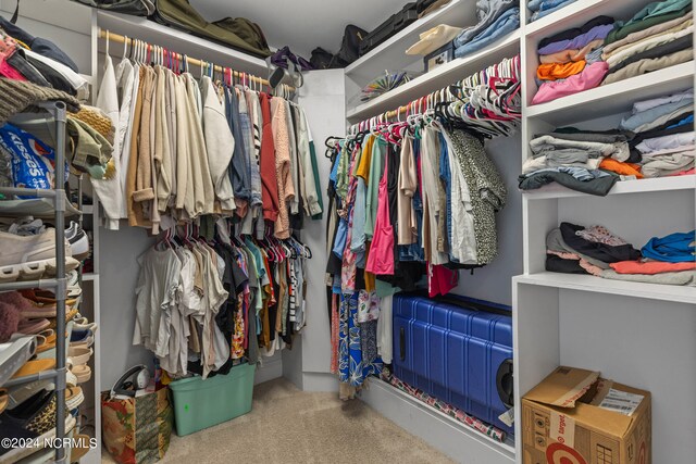 walk in closet with carpet flooring