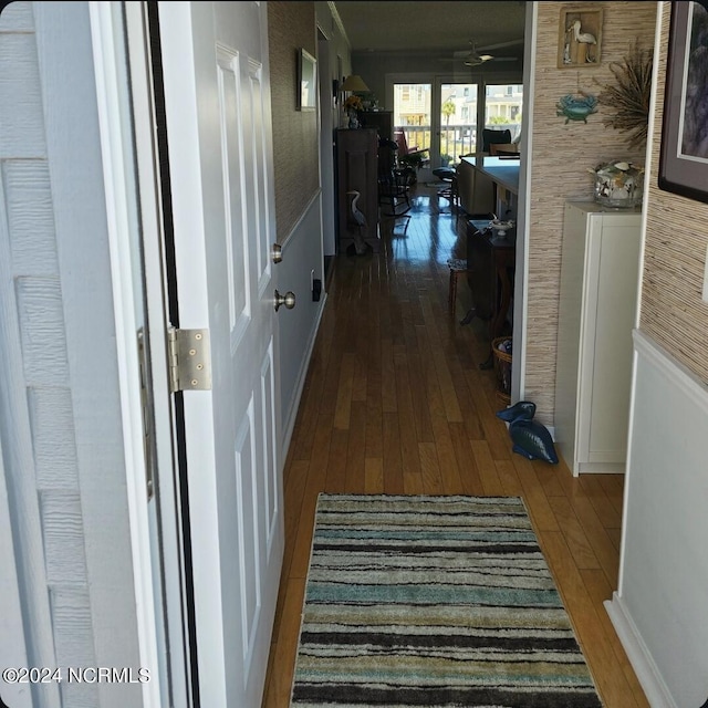 hallway with wood-type flooring