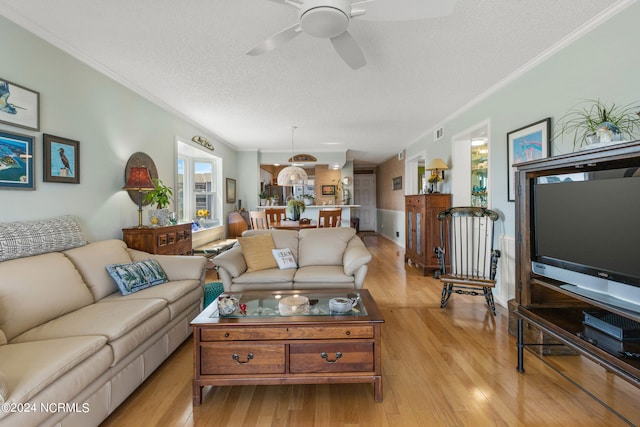 living area with a textured ceiling, ceiling fan, ornamental molding, and light wood-style flooring