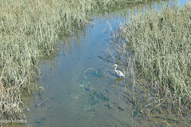 view of water feature