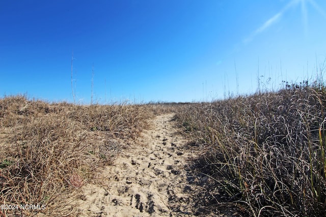 view of local wilderness