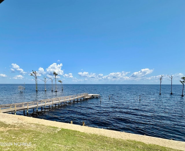 dock area with a water view