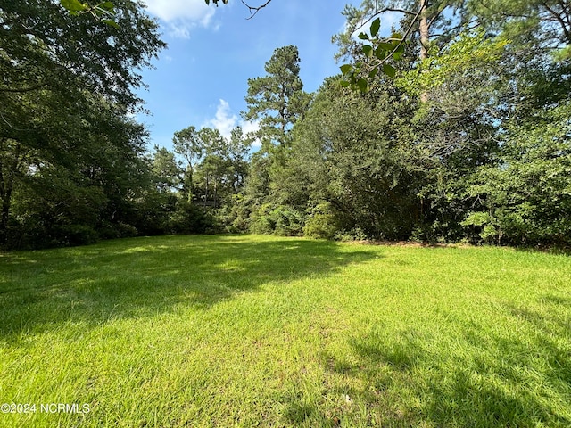 114 Nesmith St, Tabor City NC, 28463 land for sale