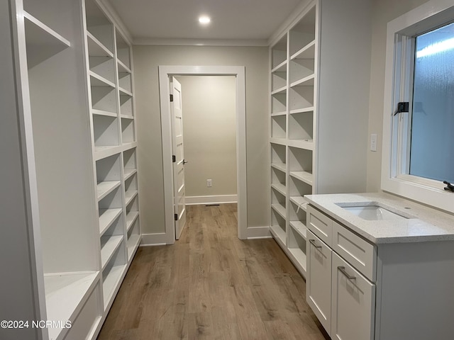 spacious closet featuring a sink and wood finished floors