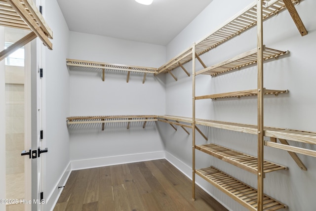 5037 Saltgrass Cv, Leland, NC 28451 - walk in closet with hardwood / wood-style floors