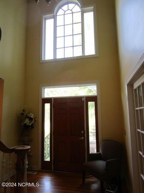 entryway featuring a high ceiling and wood finished floors