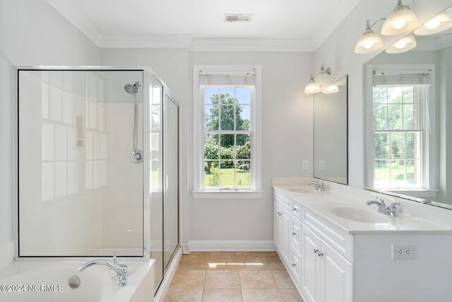 bathroom with ornamental molding, a sink, and a shower stall