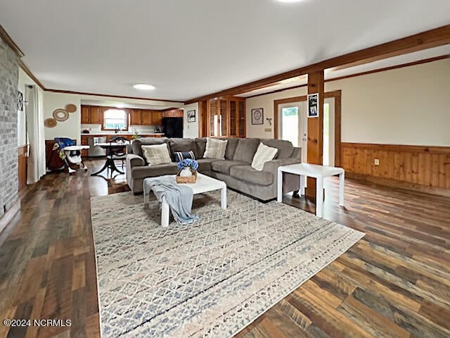 living room with crown molding, dark hardwood / wood-style floors, and wood walls