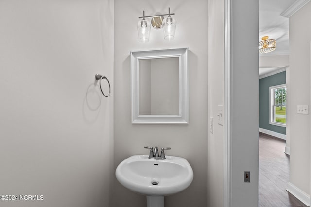 bathroom featuring hardwood / wood-style floors, sink, and ornamental molding