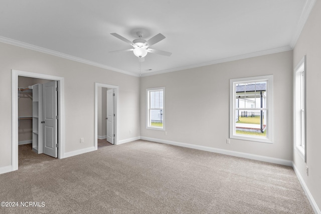 unfurnished bedroom with a walk in closet, carpet, crown molding, and multiple windows