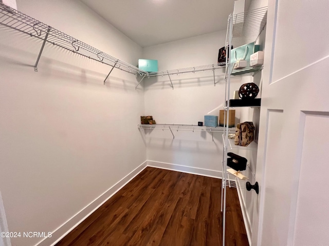 3701 Greystone Dr, Rocky Mount, NC 27804 - walk in closet with dark wood-style floors