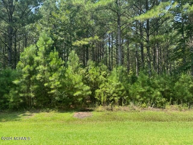 155 N Berne Landing Rd Unit 8, New Bern NC, 28560 land for sale