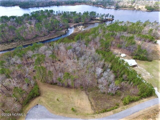 312 Port Side Dr Unit 39And 40Combined, Arapahoe NC, 28510 land for sale