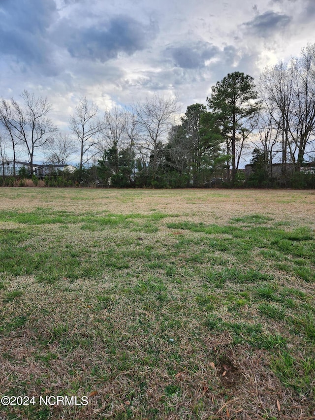 86 Whichard Ln Unit 33, Chocowinity NC, 27817 land for sale