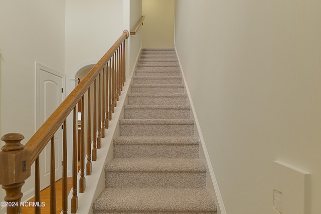 stairway with a towering ceiling and carpet floors