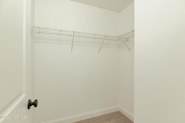 spacious closet with carpet