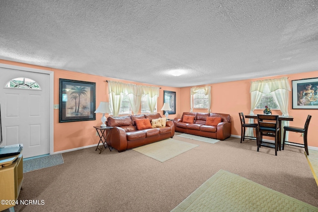 carpeted living room with a textured ceiling