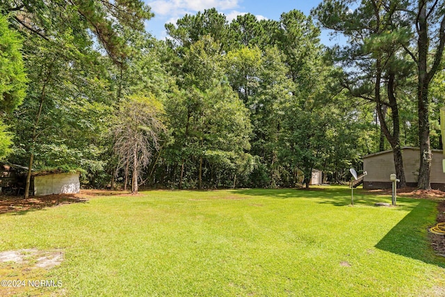 view of yard featuring a storage shed