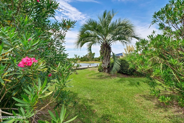 view of yard featuring a water view