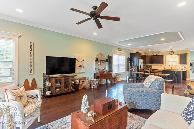 living room with ceiling fan, plenty of natural light, dark wood-type flooring, and crown molding