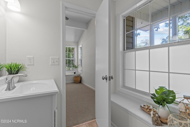 bathroom featuring a wealth of natural light and vanity