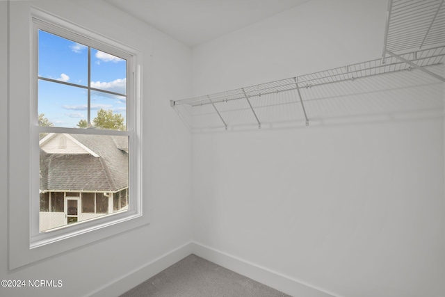 spacious closet with carpet flooring