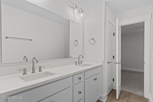 bathroom with hardwood / wood-style floors and vanity