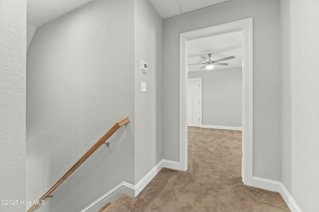 corridor featuring light colored carpet