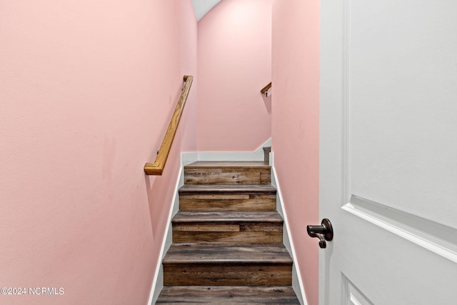 staircase featuring wood-type flooring