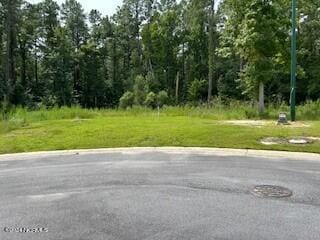 1000 Ecru Cir, New Bern, NC 28562