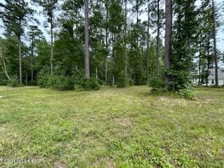 1004 Alabaster Dr Unit 19, New Bern, NC 28562