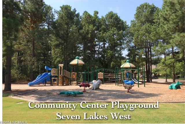 view of jungle gym