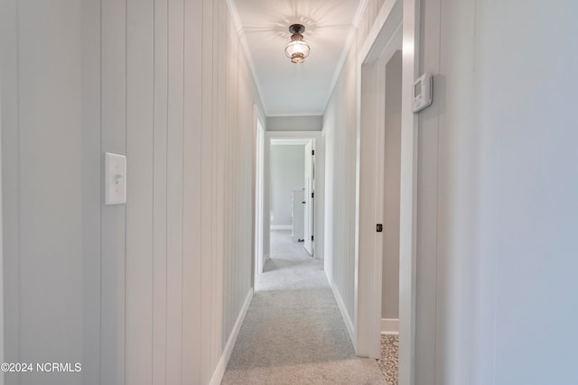 hallway with crown molding and light carpet