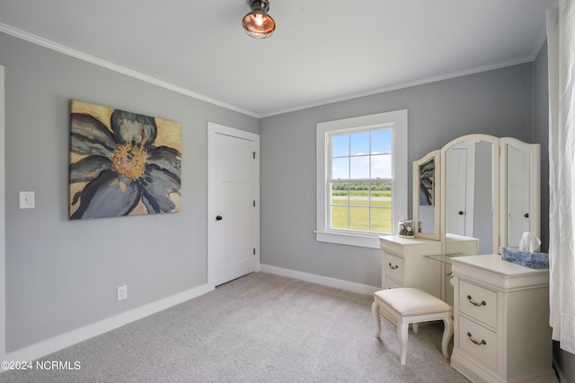 unfurnished office featuring ornamental molding and light colored carpet