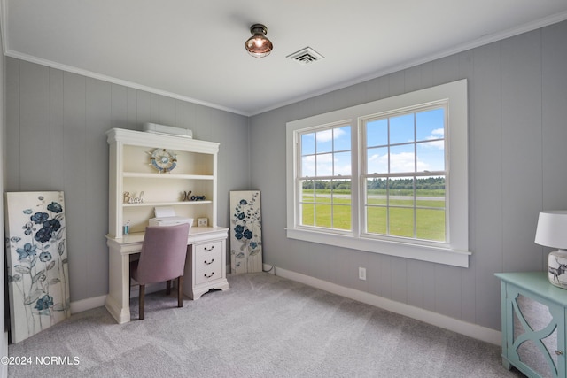 carpeted office space featuring ornamental molding