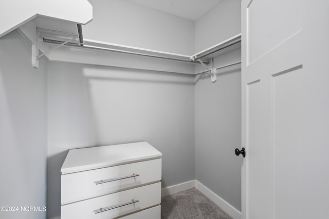 spacious closet with carpet