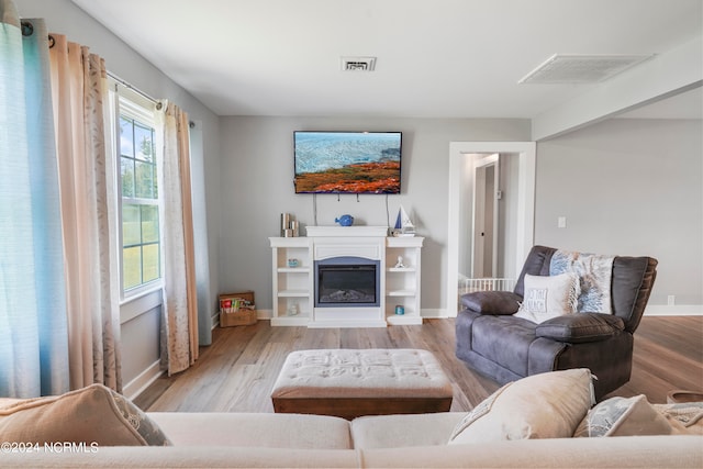 living room featuring light hardwood / wood-style flooring and a healthy amount of sunlight