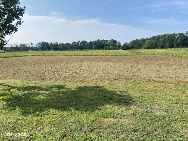 LOT82 Dallas Paul Rd Unit 82, Belhaven NC, 27810 land for sale