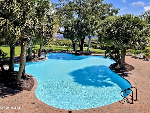 7422 Sea Lilly Ln, Wilmington, NC 28409 - view of pool