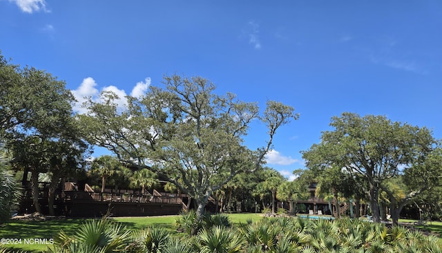 7422 Sea Lilly Ln, Wilmington, NC 28409 - surrounding community featuring a deck