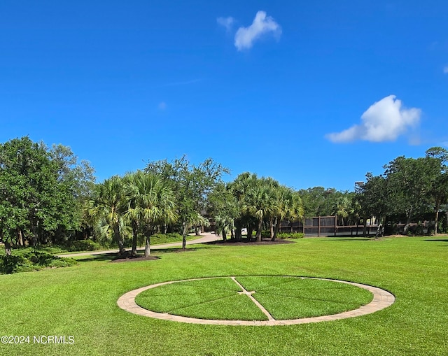 7422 Sea Lilly Ln, Wilmington, NC 28409 - view of home's community