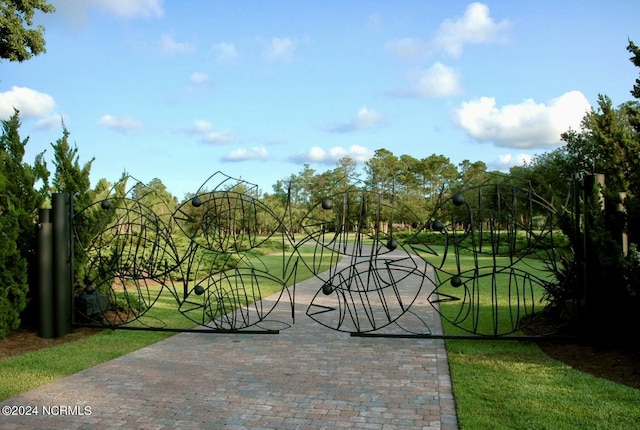 7422 Sea Lilly Ln, Wilmington, NC 28409 - view of gate with a yard
