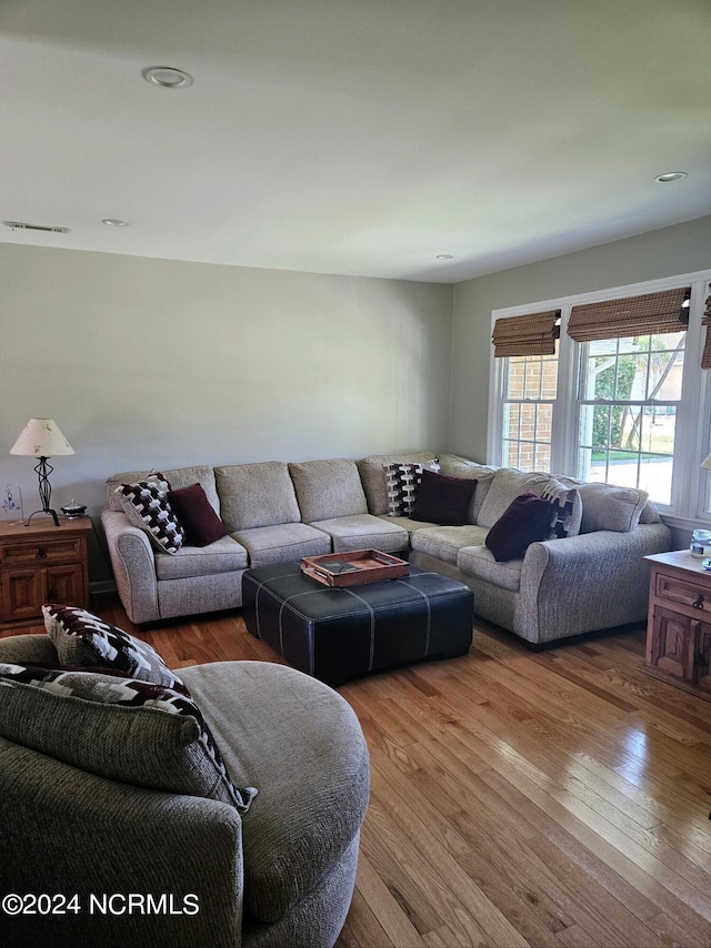 living room with wood-type flooring