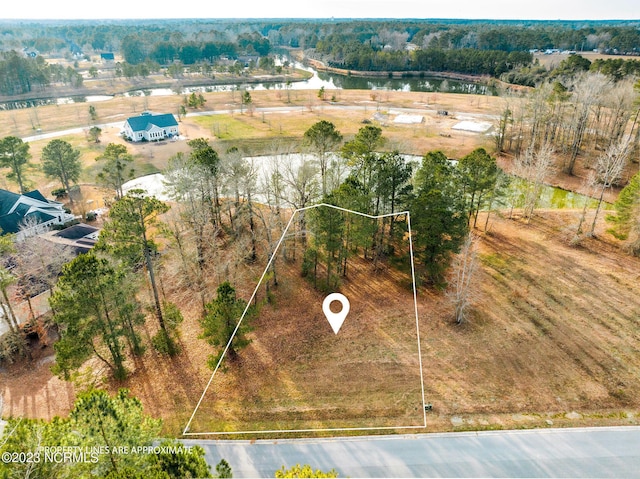 168 W Winding Way, Wallace NC, 28466 land for sale