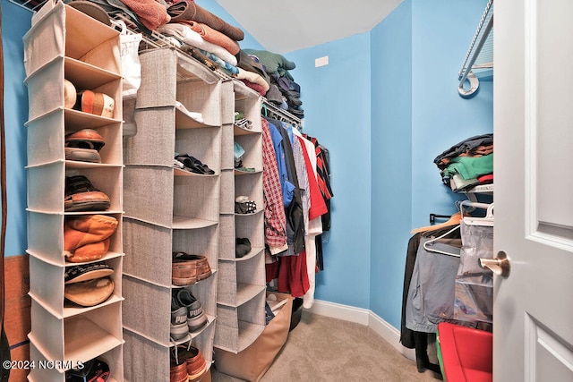 walk in closet with light colored carpet