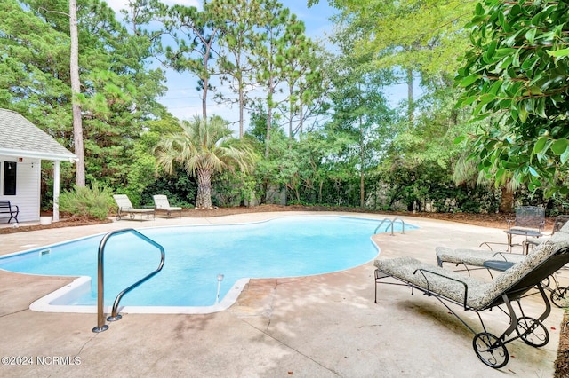 view of pool with a patio