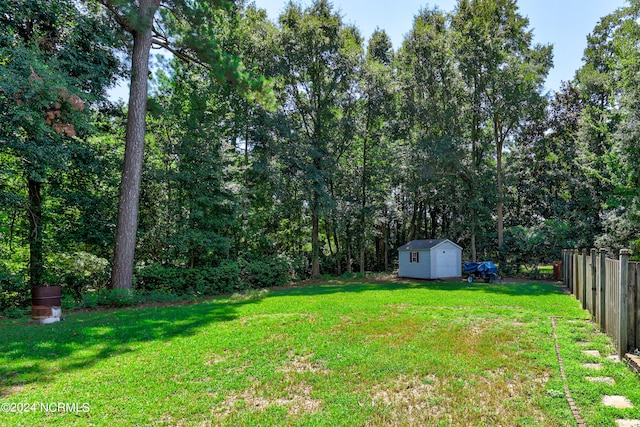 view of yard with a storage unit