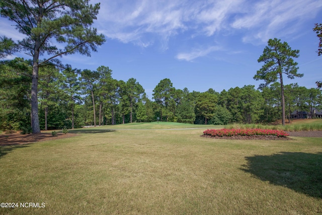 119 Saint Mellions Dr, Pinehurst, NC 28374 - view of yard