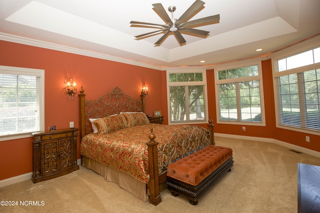 bedroom featuring carpet floors, a tray ceiling, and baseboards