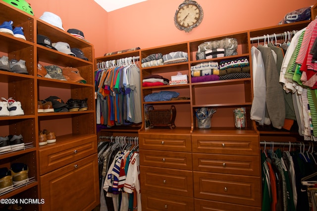 view of spacious closet